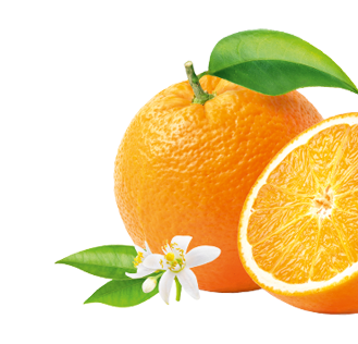 Frucht im Produkt Milde Orange