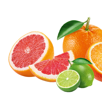 Frucht im Produkt Zitrusfrüchte
