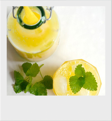 BrauseSause